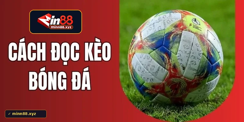 Hướng dẫn cách đọc kèo nhà cái Min88 tỷ lệ chấp Châu Á Handicap chi tiết